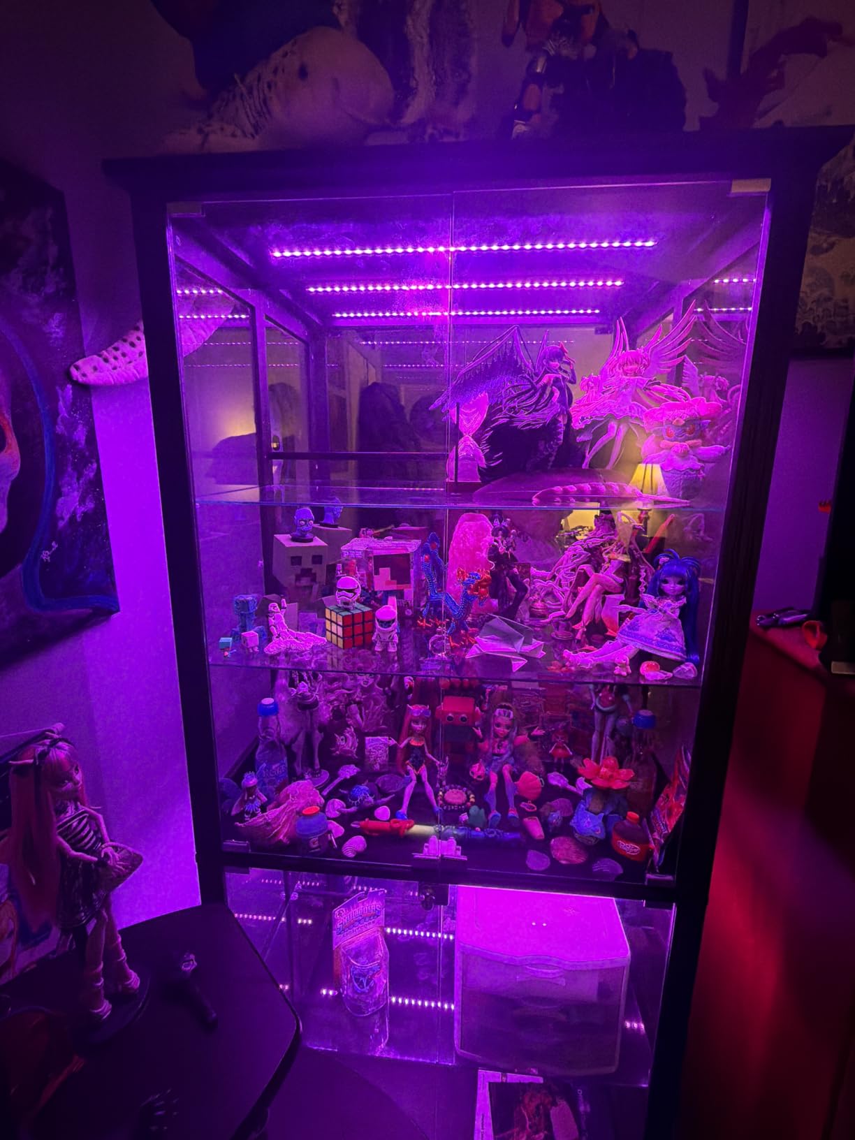 Dystler Display Cabinet with Glass Doors, RGB Lights for Collectibles customer photo 1