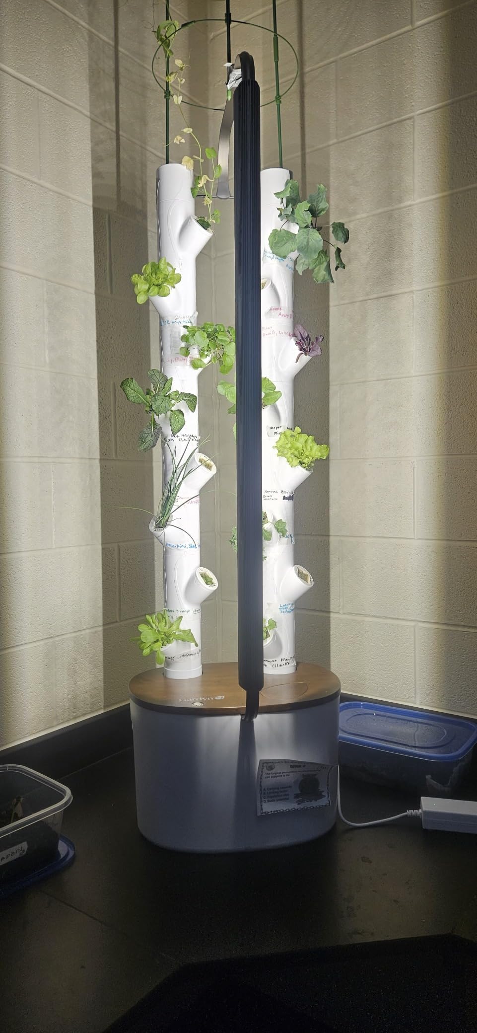 Gardyn Studio 2 Hydroponics Growing System - 16 Plants, Smart Tower customer photo 1
