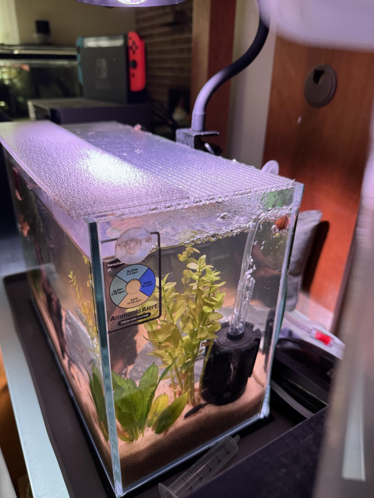10 Gallon Rimless Glass Fish Tank, Easy to Maintain Small Aquarium customer photo 2