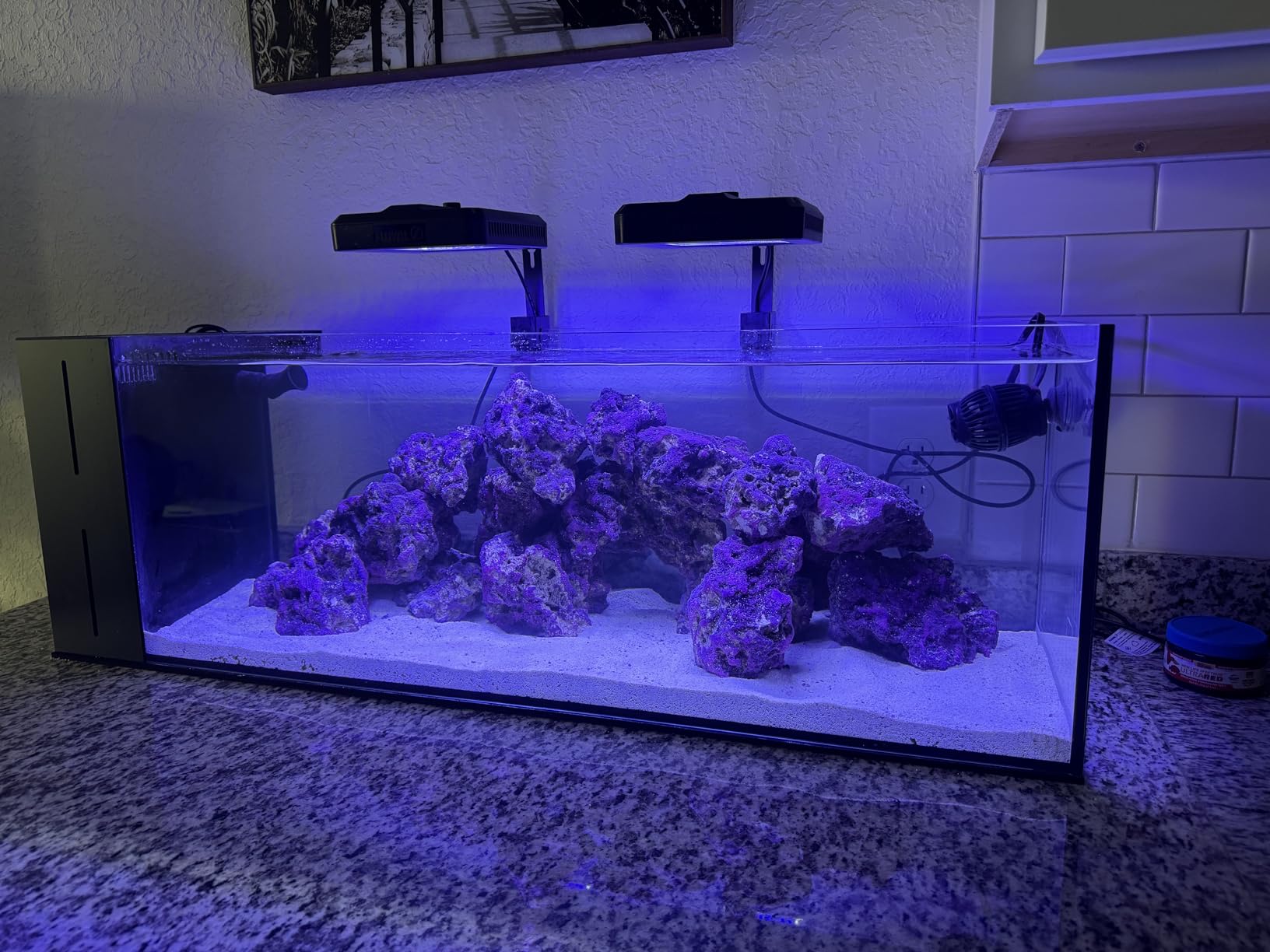 Ultum Nature Systems Dual AIO - Freshwater/Saltwater Compatible, All in One Rimless Tank with Triple Chamber Filtration System, Integrated Filter Aquarium with Leveling Mat - 6 Gallon, 45SA, Black customer photo 2