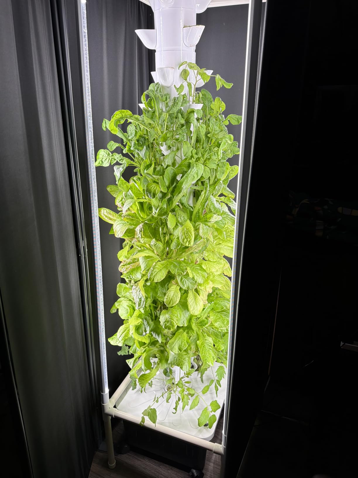JESLED 6 Tiers Hydroponics Growing System Kits with 4 LED Grow Lights customer photo 2