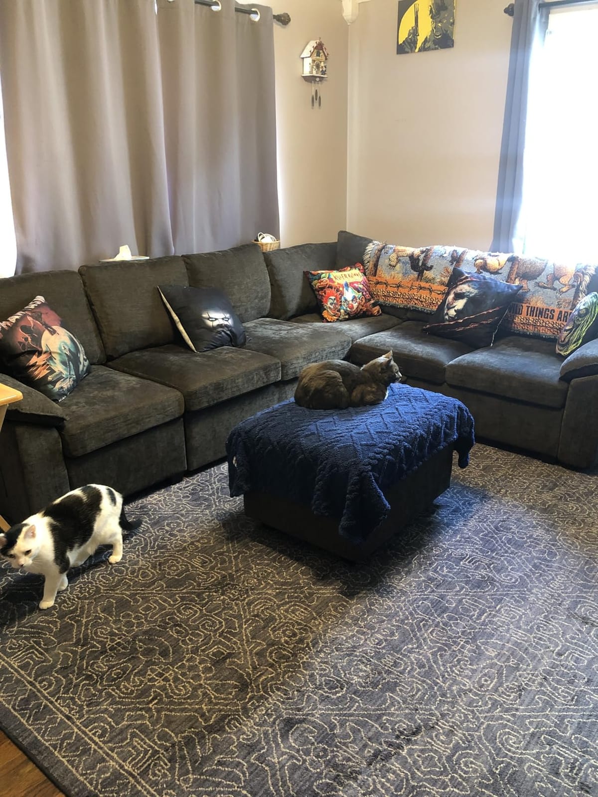 85'' Modular Sectional Sofa with Pull Out Bed, Sleeper Sofa, Dark Gray customer photo 1