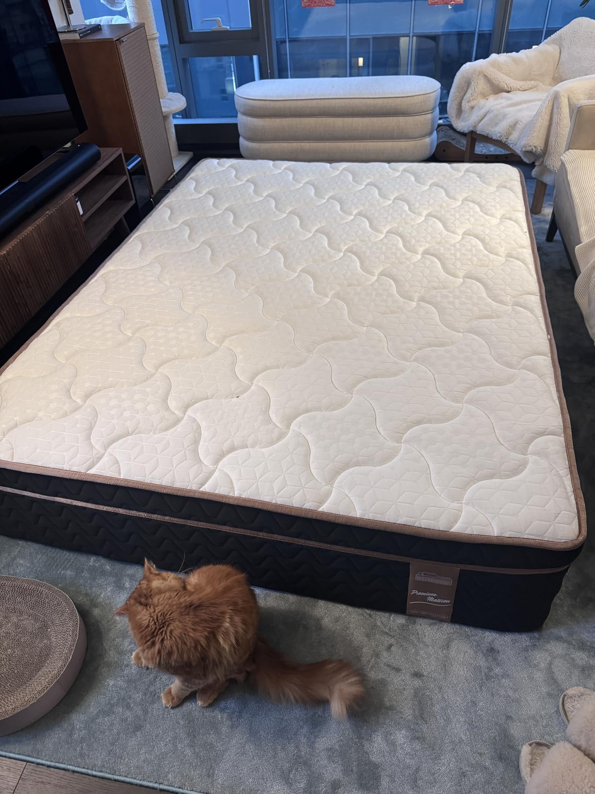Firm Queen Mattress 14 Inch, Luxury Hotel Cooling Hybrid Mattress in a Box customer photo 2