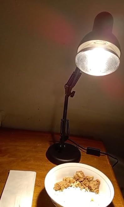 Portable Food Heat Lamp [Foldable Design] [3S Heating] Food Warmer Lamp customer photo 1