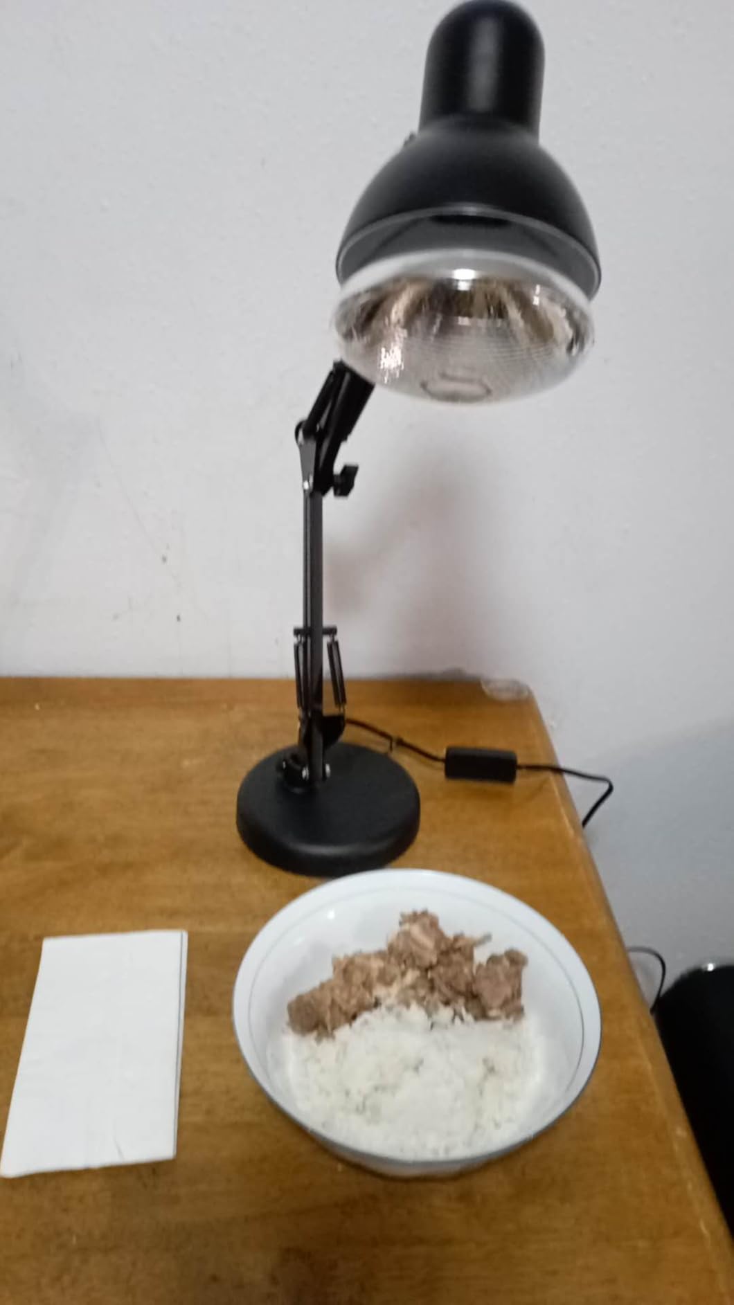 Portable Food Heat Lamp [Foldable Design] [3S Heating] Food Warmer Lamp customer photo 2