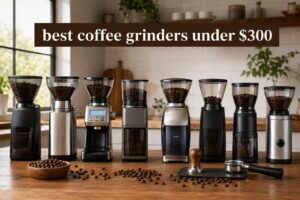 best coffee grinders under $300