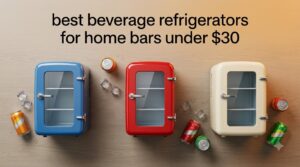 best beverage refrigerators for home bars under $30
