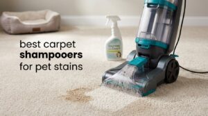 best carpet shampooers for pet stains