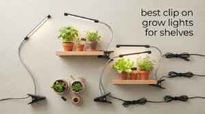 best clip on grow lights for shelves