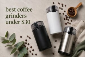 best coffee grinders under $30