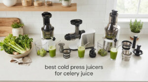 best cold press juicers for celery juice