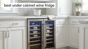 best under cabinet wine fridge