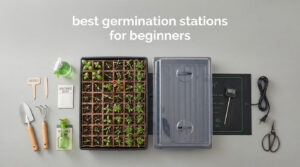 best germination stations for beginners