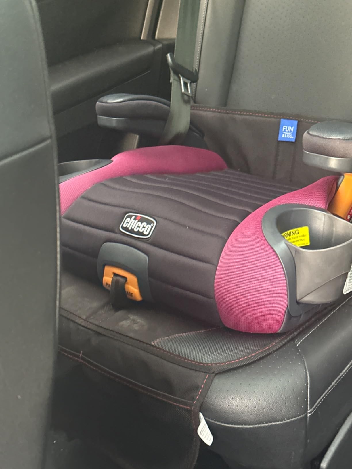 funbliss Car Seat Protector for Child Car Seat customer photo 1