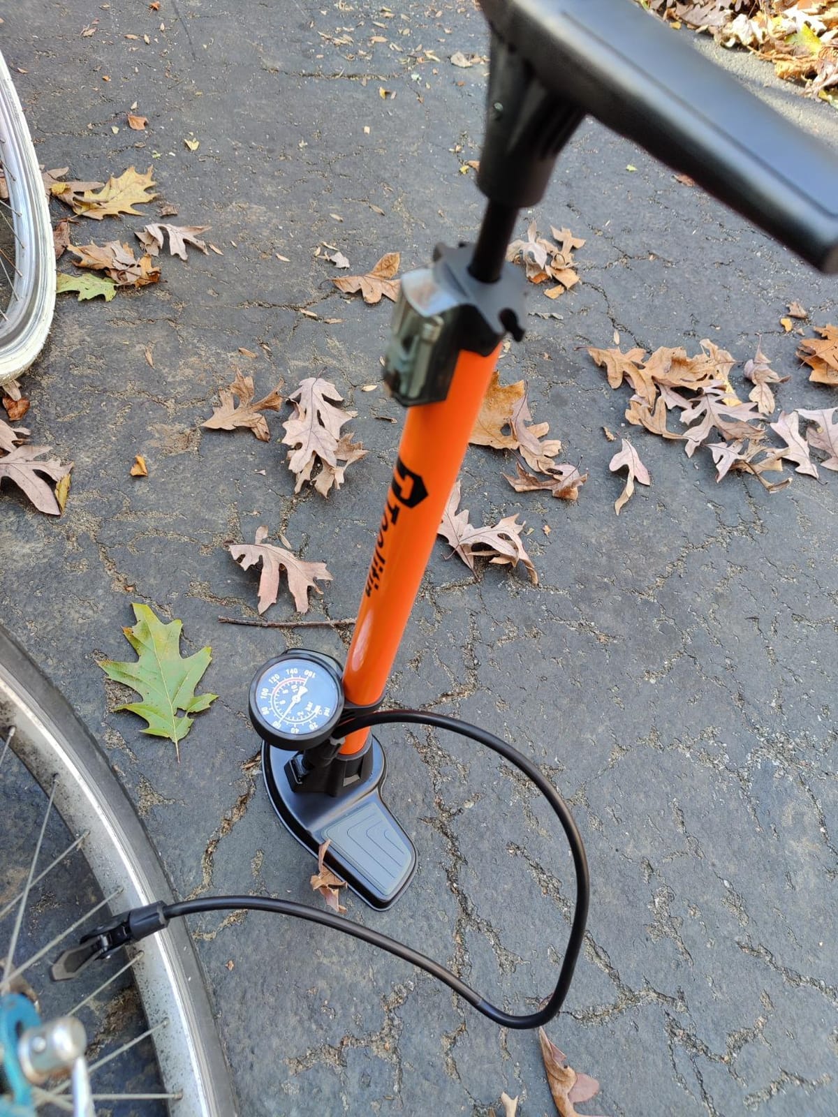 TOOLITIN Floor Bike Pump with Gauge,High Pressure,Bicycle Pump Compatible with Presta and Schrader Valve,Bike Tire Pump for Road Bike,MTB,Hybrid,Balls customer photo 1