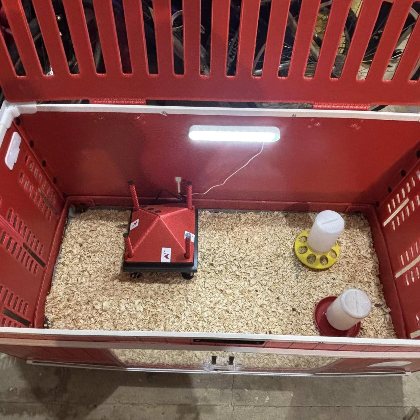 RentACoop Big Red Barn Chick Brooder customer photo 1