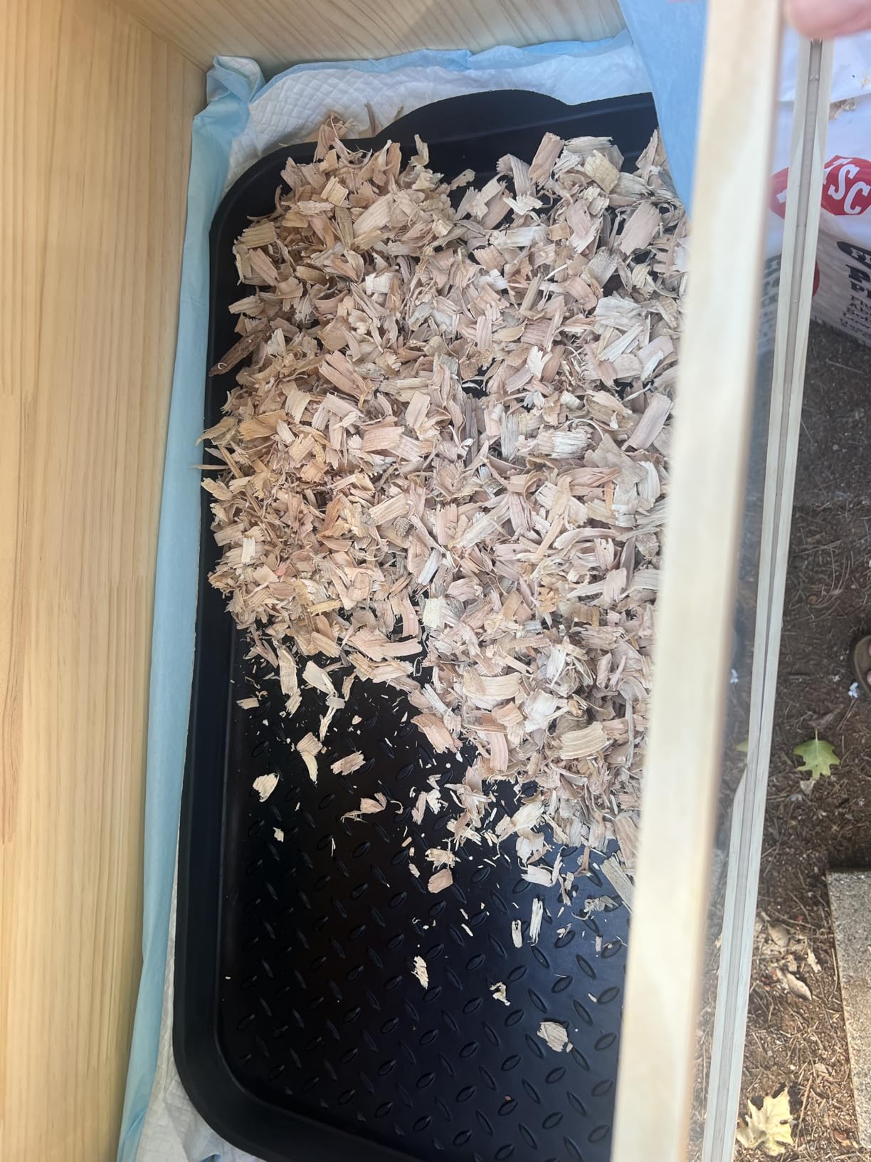 Large Wooden Chicken Brooder Box with Bulb Set and Thermometer - Brooder Box for Chicks Indoor Accommodates Up to 12 Chicks - Ideal for Chickens, Ducks, Quails, Hamsters, and Lizards（32x16x16 Inches） customer photo 1