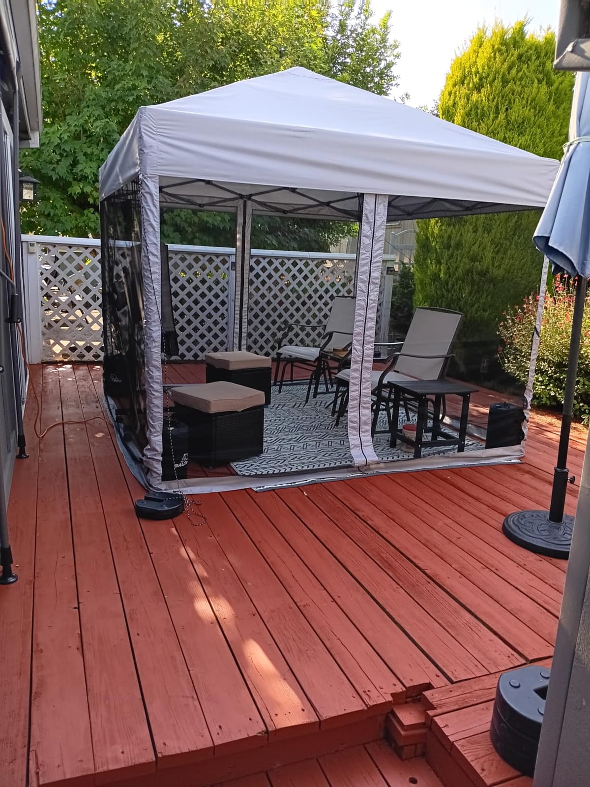 VIVOHOME 10x10ft Outdoor Screen Tent with Mosquito Netting customer photo 1