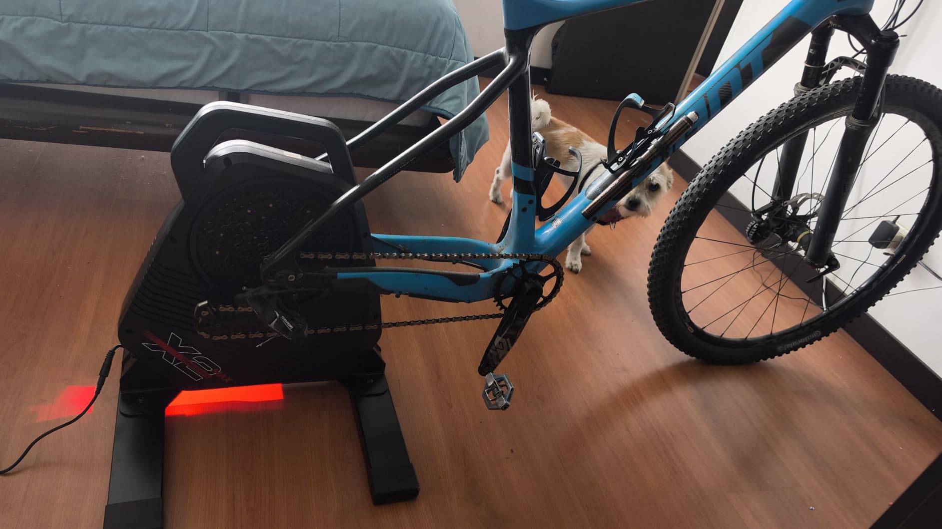 ThinkRider X2Max Smart Bike Trainer，2000w，Simulates 18% Slope，ANT + & BLE customer photo 2