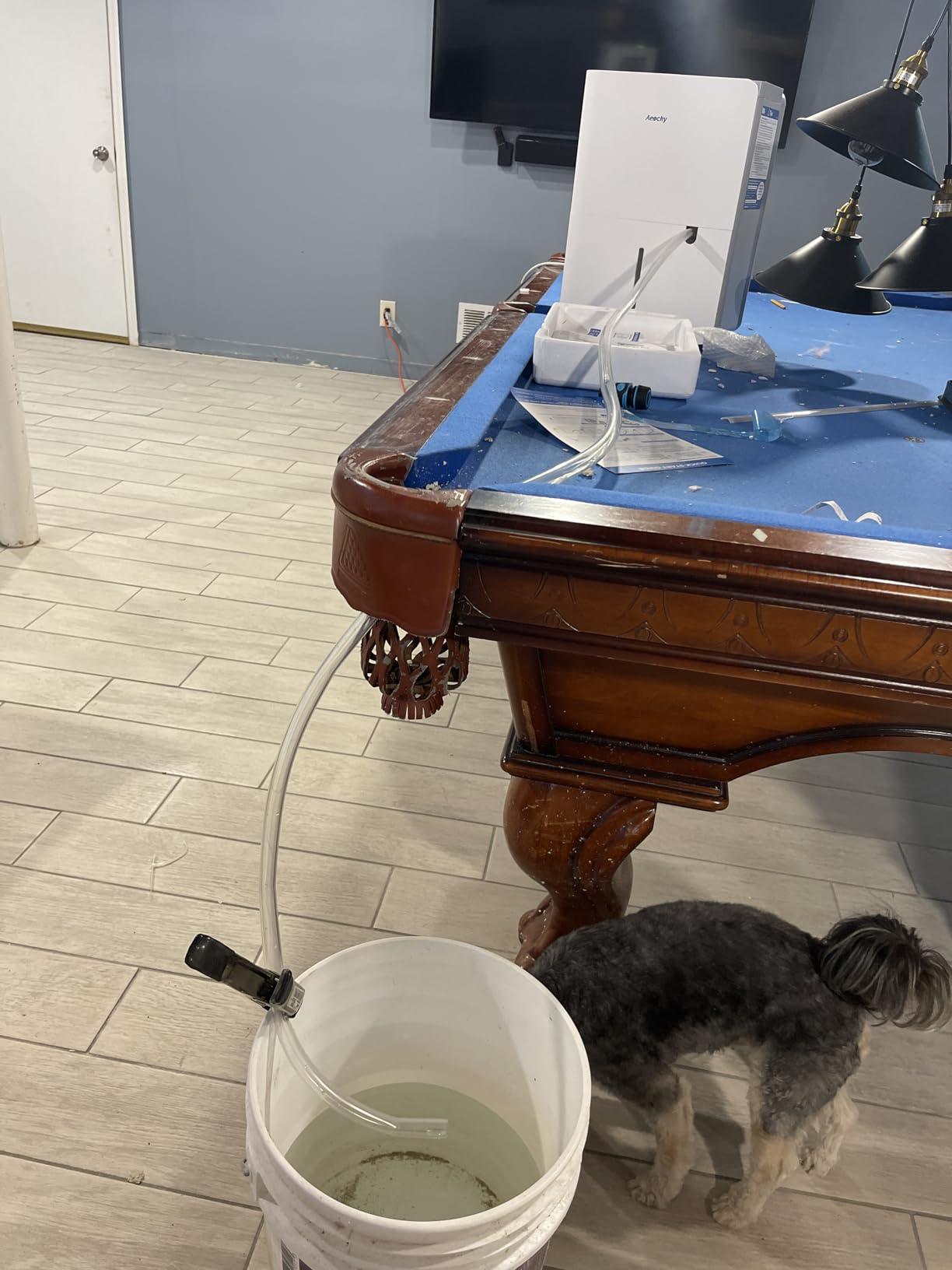 AEOCKY 50 Pint/Day, 3500Sq.Ft Ultra-Quiet 40dB Dehumidifier with Drain Hose customer photo 1