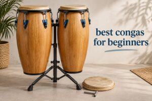 best congas for beginners